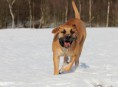 /album/anka/wandelen-107-jpg/